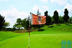 开云体育app-巴洛尼全面解放，惊艳华丽展示球场实力的简单介绍