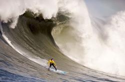 开云体育官网-马刺碾压尼克斯，英格拉姆如何成为胜负手