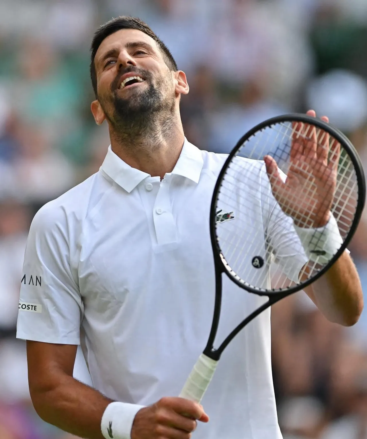 英国网球队逆转法国网球队,德约科维奇完成帽子戏法的简单介绍 英国网球队逆转法国网球队,德约科维奇完成帽子戏法的简单介绍