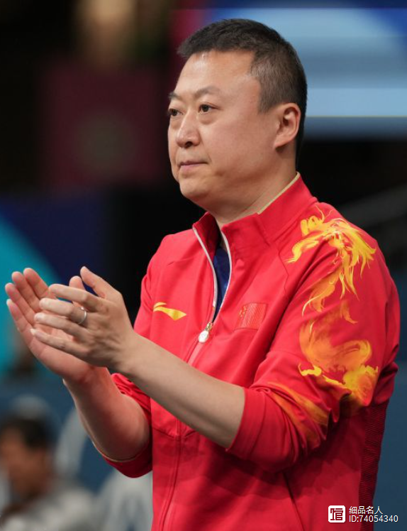 中国羽毛球队强势日本羽毛球队，马琳高光表现的简单介绍