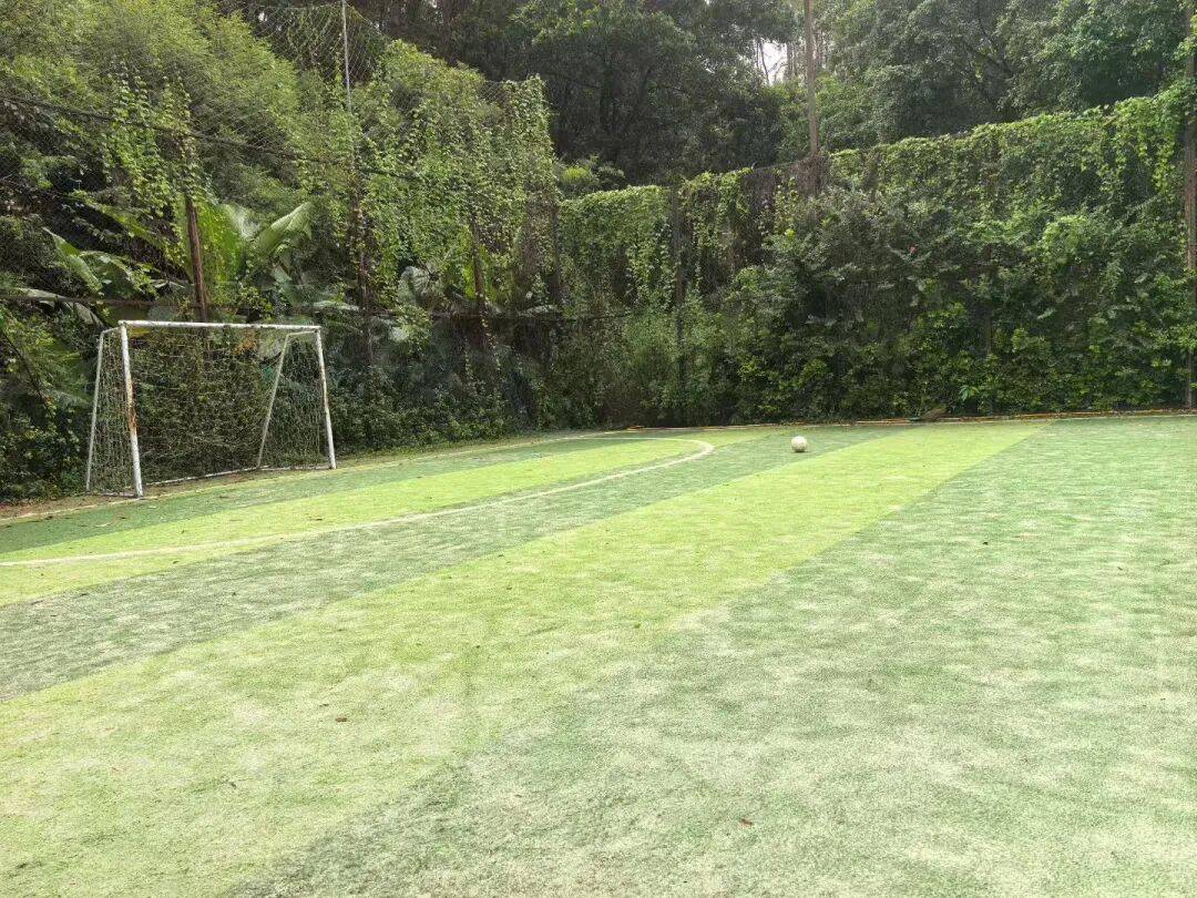 关于错综复杂，变幻莫测的球场角逐的信息