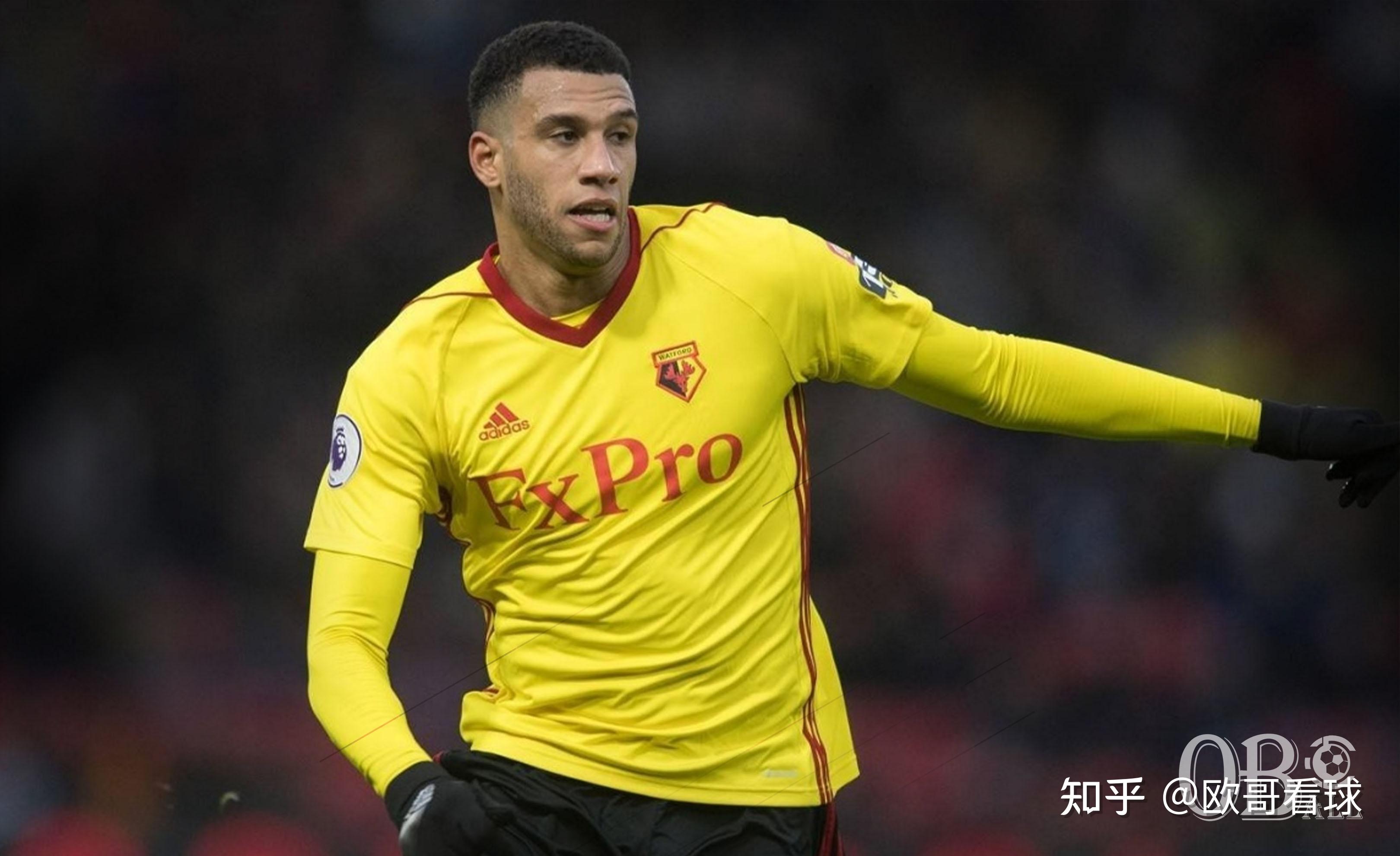 沃特福德悬崖勒马，英超保级阴云密布的简单介绍