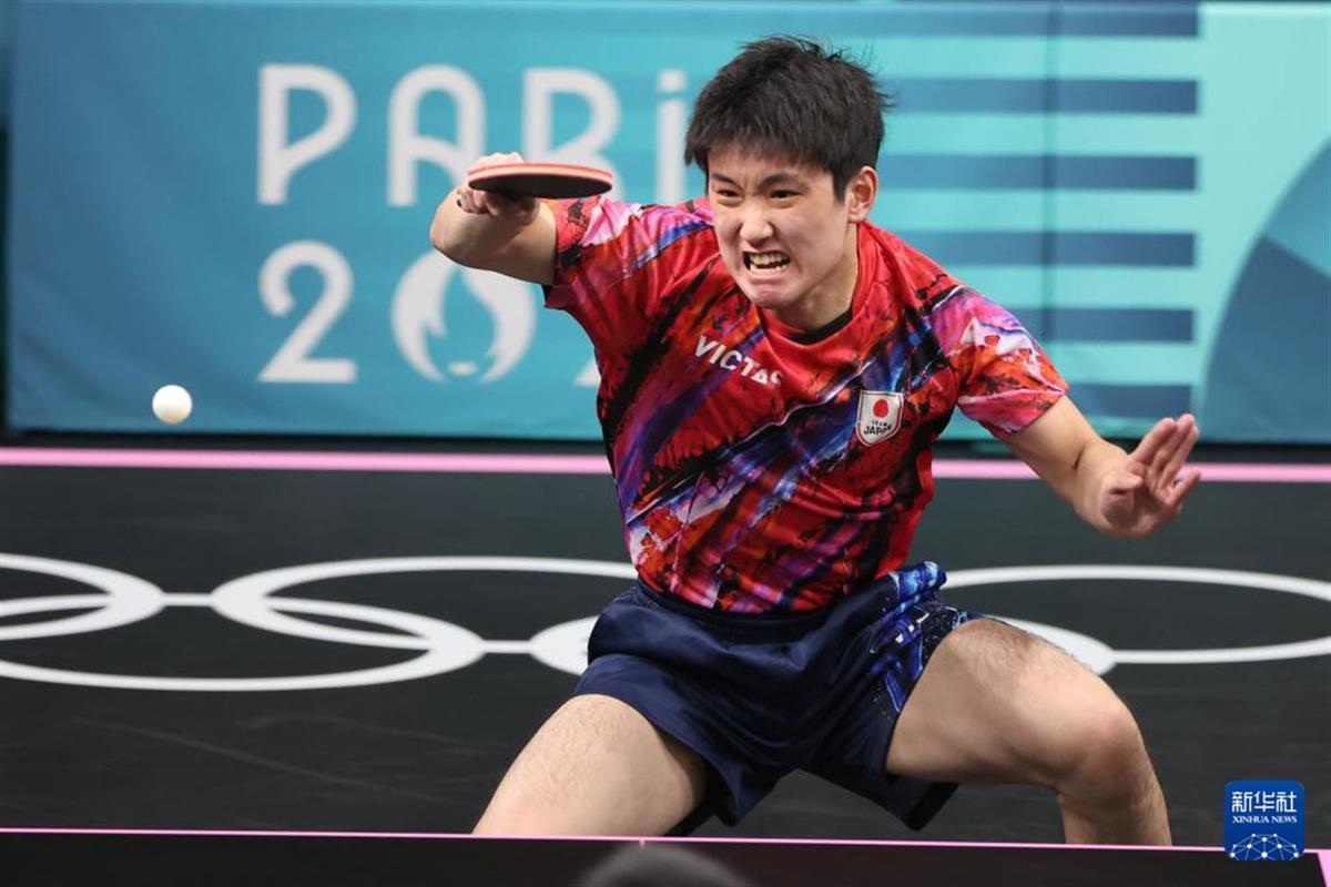 包含日本队力克中国队，张本智和高光表现的词条