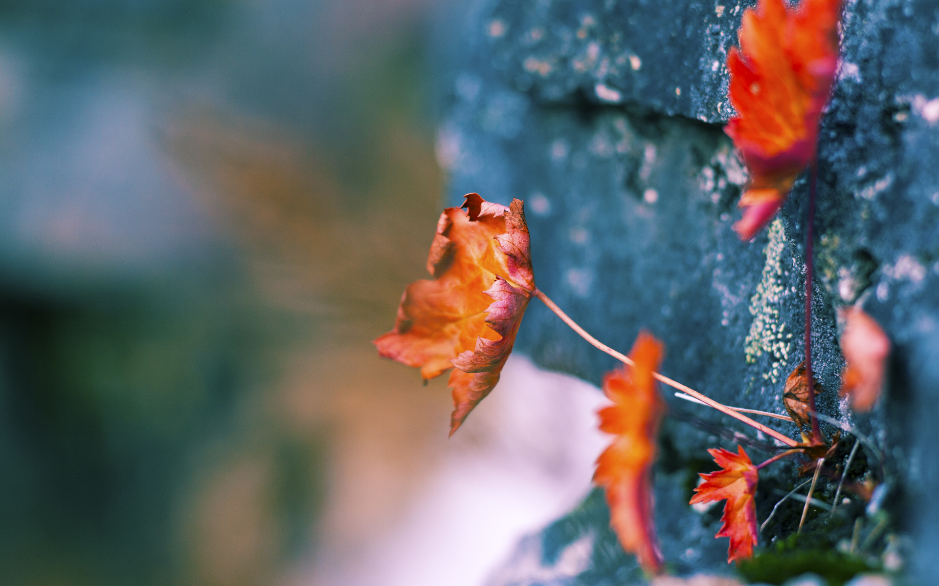 西甲国家德比之夜，马克西的防守艺术，如何用智慧与坚韧锁死对手