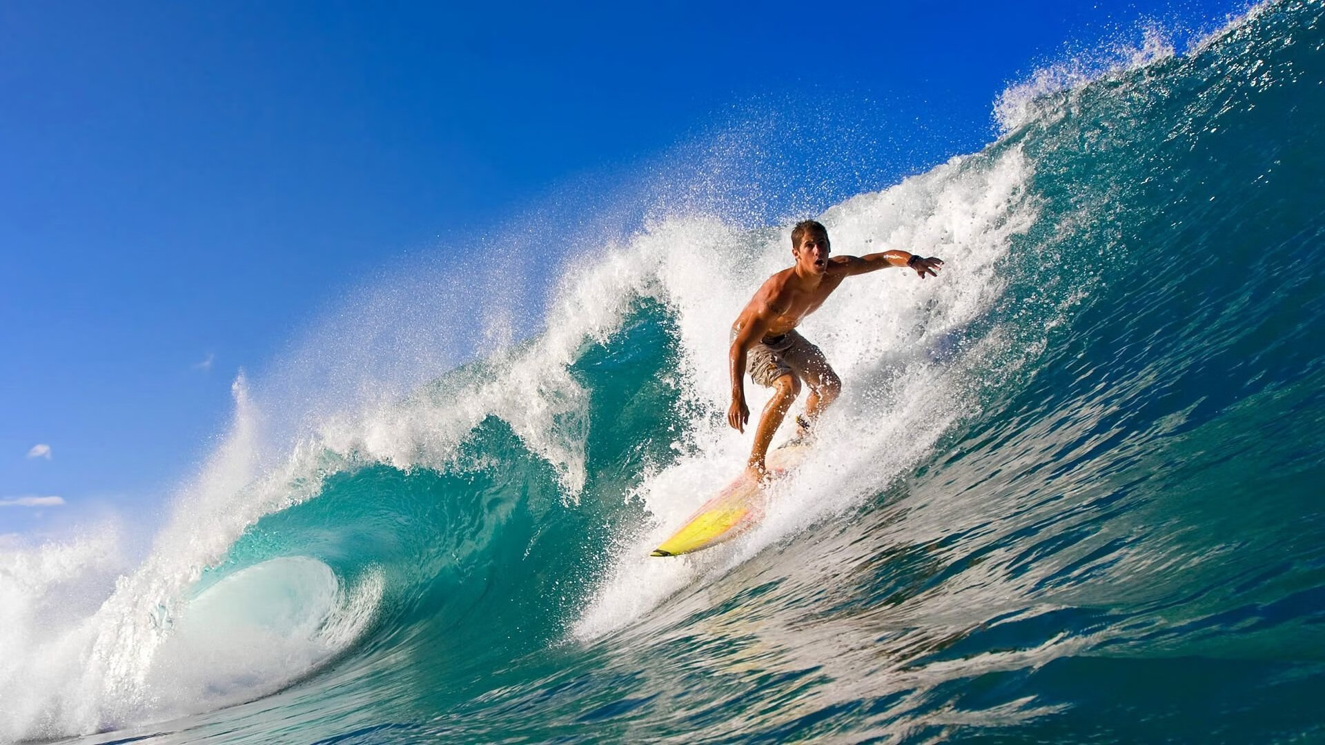 狼嚎鹰落，一场颠覆预期的总决赛预演